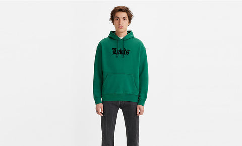 LEVIS RELAXED GRAPHIC P/O OLDE ENGLISH HOODIE