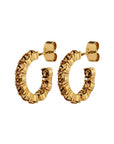 DYRBERG/KERN RAQUEL EARRING SG BROWN