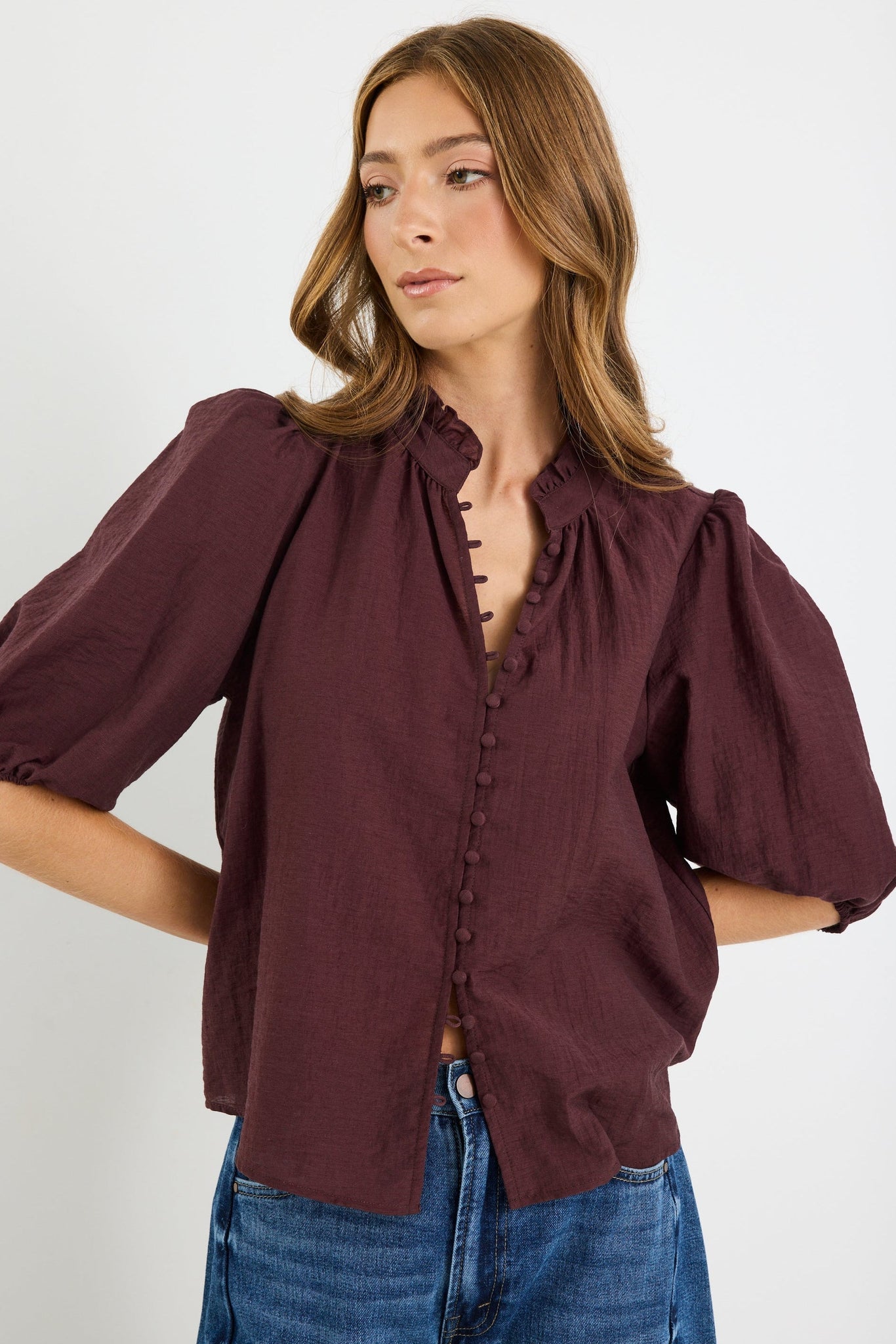IVY + JACK CONTINUANCE SEMI SHEER HIGH NECK BUTTONED SHORT SLEEVE TOP